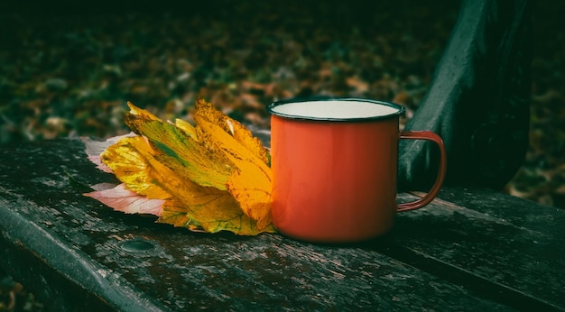 Une tasse rouge avec des feuilles jaune orangé sur un banc