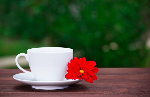 Tasse et soucoupe blanche et fleur rouge sur fond vert