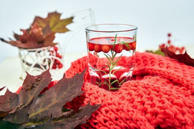 Tasse ou tasse de thé chaud viburnum