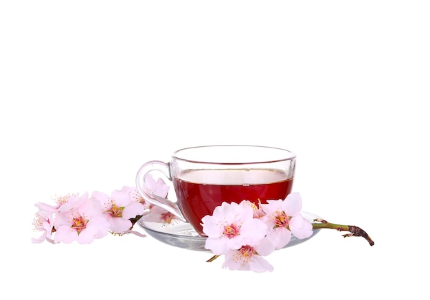 Tasse de thé avec un brin de fleurs de cerisier isolé sur une surface blanche