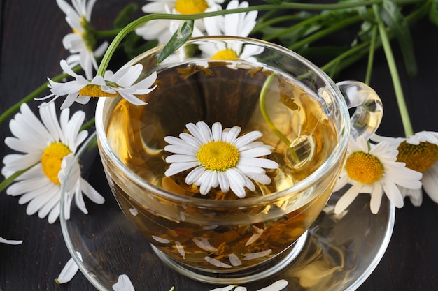 Tasse de thé à la camomille aux herbes avec des fleurs de marguerite fraîches sur fond en bois. traitement par un médecin et prévention du concept immunitaire