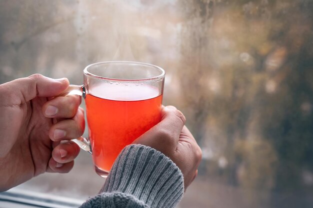 Une tasse de thé chaud aux fruits entre les mains d'une femme adulte près de la fenêtre par une journée froide