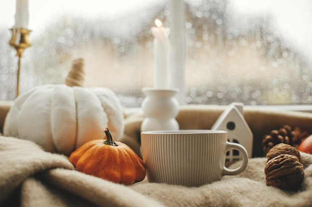 Tasse de thé chaud bougie citrouilles sur une couverture confortable contre la fenêtre avec des gouttes de pluie Moody fall