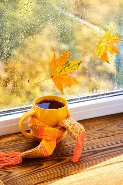 Une tasse de thé chaud avec un foulard livres