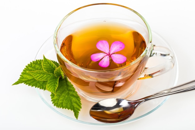 Tasse de thé avec fleur de camomille et feuille de menthe