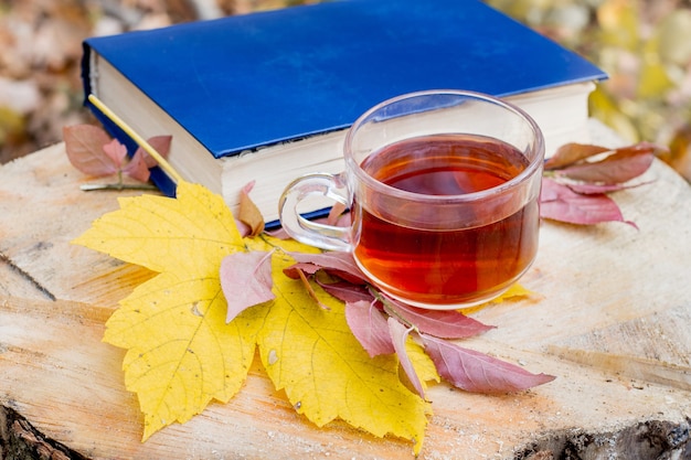 Une tasse de thé, un livre et une feuille d'érable jaune dans la forêt sur une souche. Lire des livres et déjeuner dans les bois