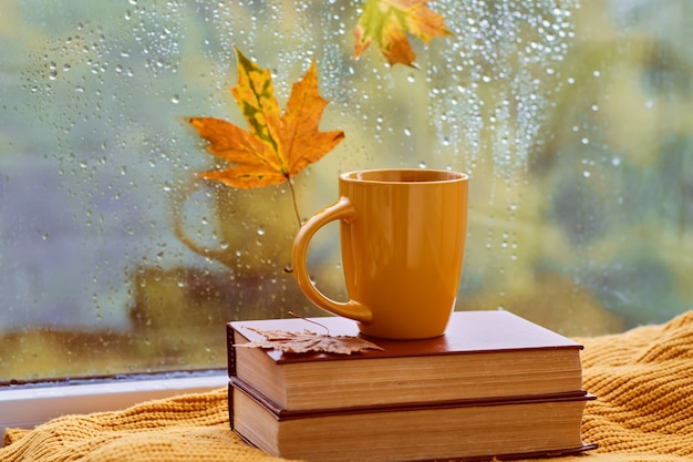 Tasse de thé, livre, feuilles d'automne et bougie sur le rebord de la fenêtre à la maison