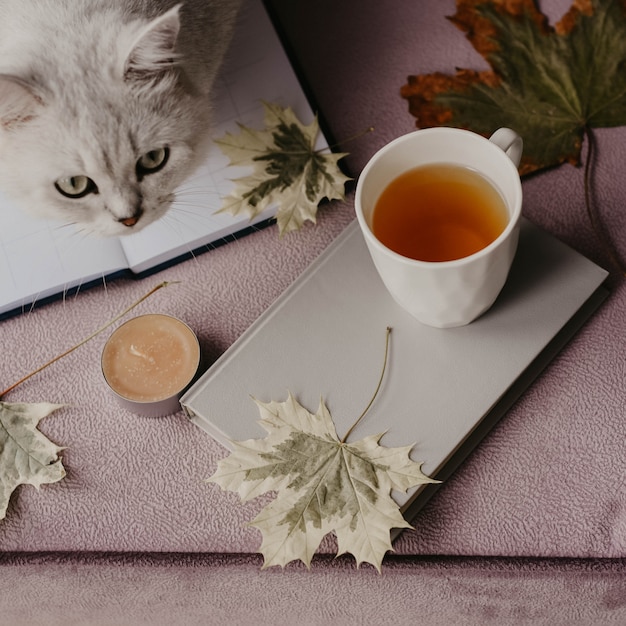 Tasse de thé avec un livre à l&#39;intérieur avec une feuille d&#39;automne