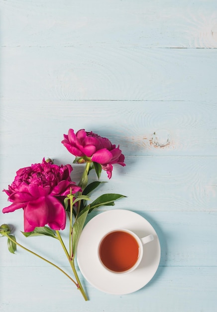 Tasse à thé de pivoines roses rouges sur un fond en bois bleu Espace de copie de cadre vertical pour la conception de texte Vue de dessus