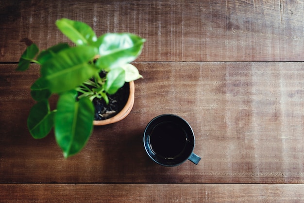 Une tasse de thé et une plante sur une table