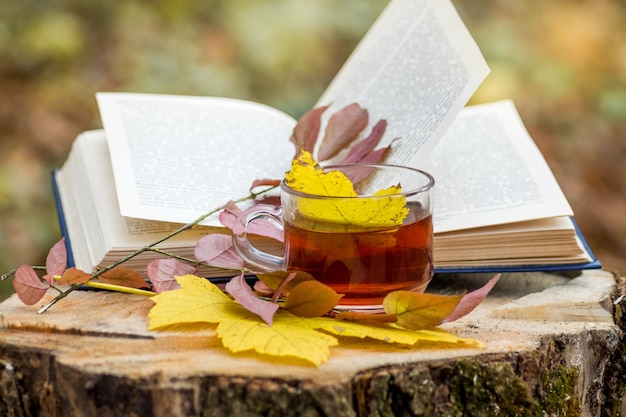 Une tasse de thé près d'un livre déplié et des feuilles d'automne tombées dans la forêt sur une souche_