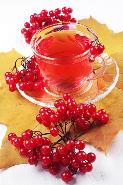 Tasse de thé rouge et de baies de viorne sur les feuilles d'automne. Netteté sur la tasse de thé