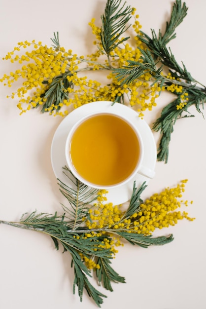 Une tasse de thé vert entouré de branches de mimosa jaune