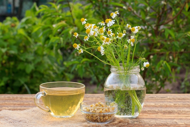 Tasse de thé vert, pot avec des fleurs de camomille blanches et petit bol en verre avec des fleurs sèches de matricaria chamomilla sur des planches de bois sur fond vert naturel.