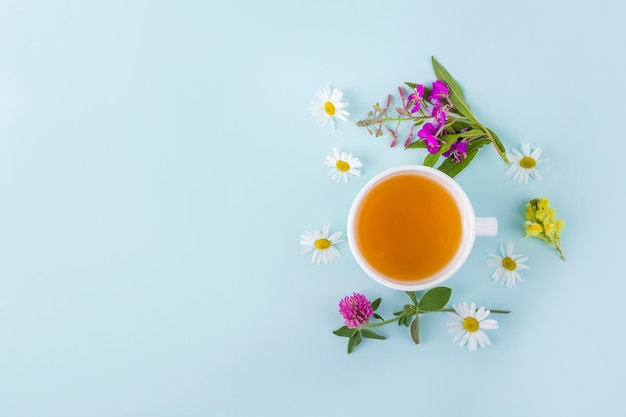 Tasse de tisane aux fleurs de camomille sur fond bleu. Thé vert asiatique floral bio. Phytothérapie aux maladies saisonnières et traitement du rhume, de la grippe, de la chaleur. copiez l'espace pour le texte.