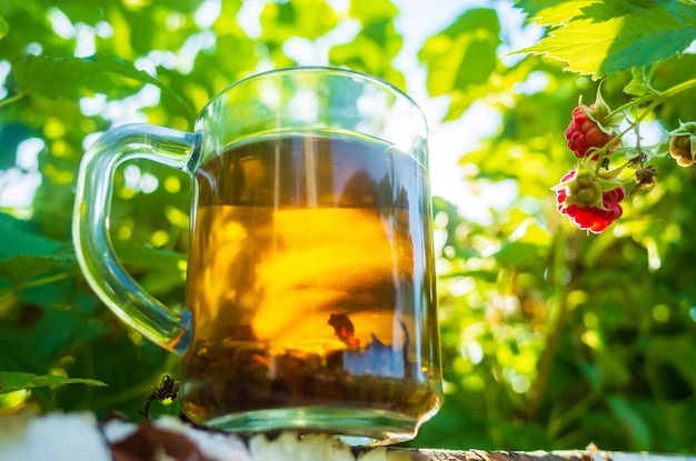 Tasse transparente avec du thé noir aux baies chaudes fraîches et de la framboise Une boisson vivifiante tôt le matin dans la nature avec les rayons du soleil chaud