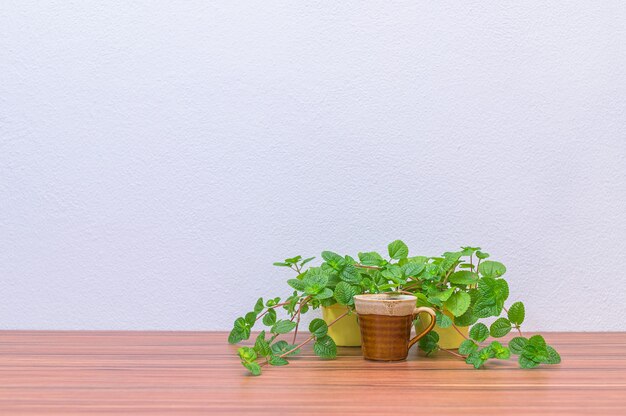 Tasses à café et plantes à votre bureau