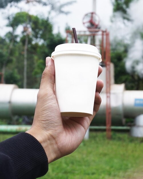 Photo des tasses à café en plastique avec une atmosphère verte rustique adaptée à votre conception