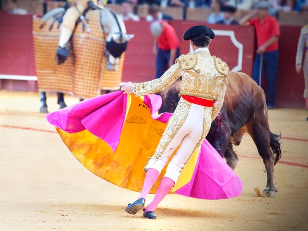 Un taureau debout sur le terrain