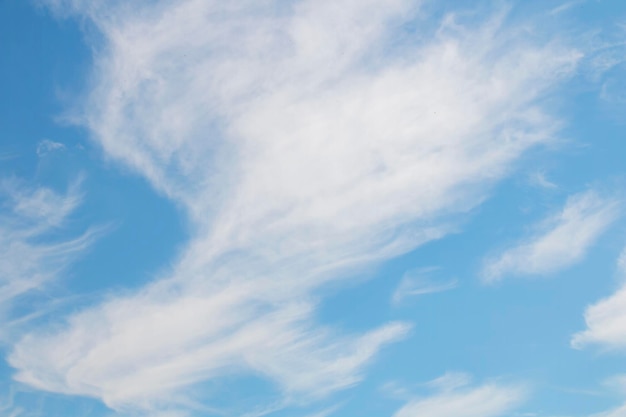 Été bleu ciel nuage dégradé lumière fond blanc bel été fond bleu