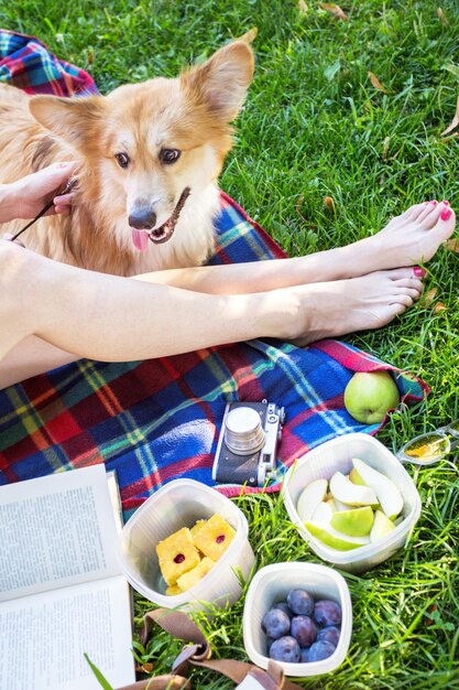 Été et bonnes vacances amusantes - - pique-nique dans le parc. fille avec un chien corgi moelleux reposant dans un parc sur un plaid