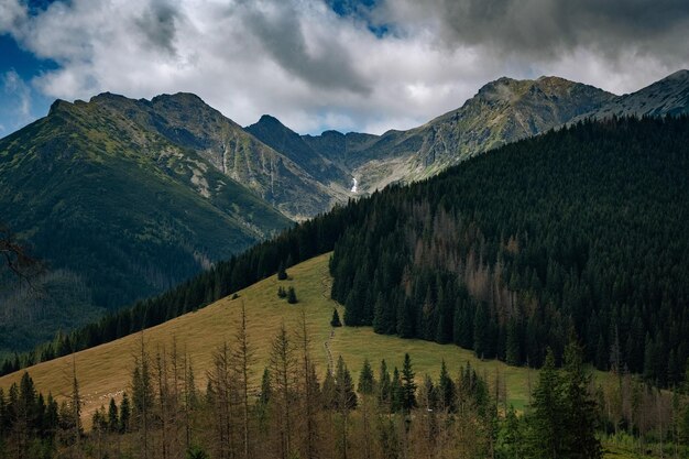 Été nature incroyable dans les montagnes Voyage et randonnée