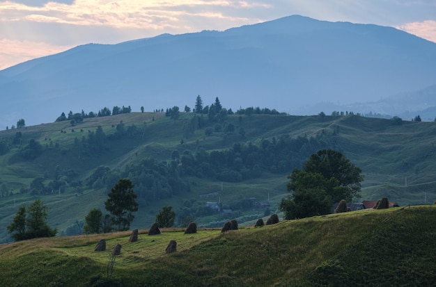 Été pittoresque campagne de montagne des Carpates Ukraine