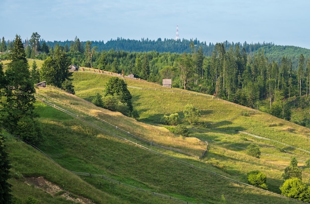 Été pittoresque campagne de montagne des Carpates Ukraine