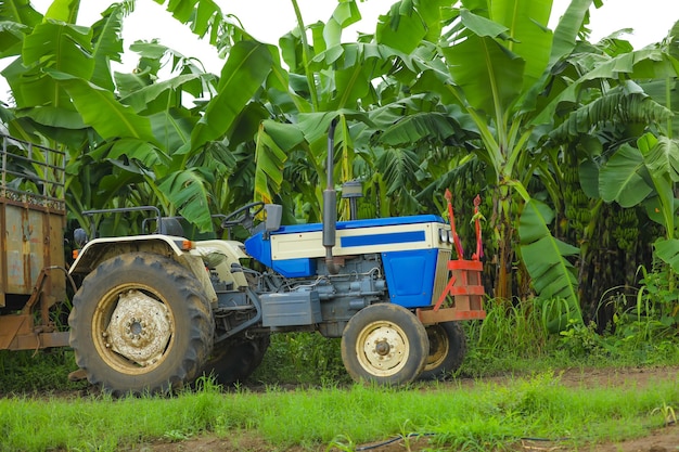 Technique agricole de l'Inde, Inde