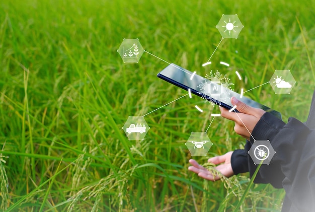 Technologie innovante de système agricole intelligent Gestion agricole Smartphone mobile avec concept de technologie intelligente pour stocker des données à des fins d'étude