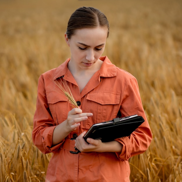 Technologue caucasienne agronome avec tablette dans le domaine du blé vérifiant la qualité et la croissance des cultures pour l'agriculture. Concept d'agriculture et de récolte.