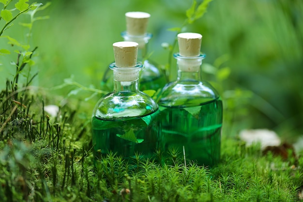 teinture aux herbes. bouteille avec teinture de fines herbes verte et les feuilles de la fougère dans la forêt.