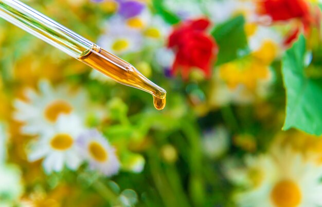 Teinture d'extrait de plantes dans une goutte de pipette. Mise au point sélective. Nature.