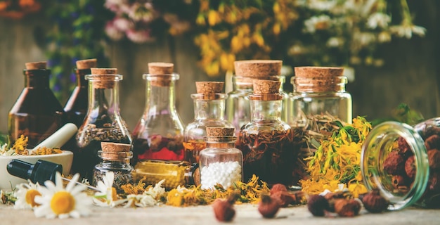 Teinture d'herbes médicinales en bouteilles Mise au point sélective