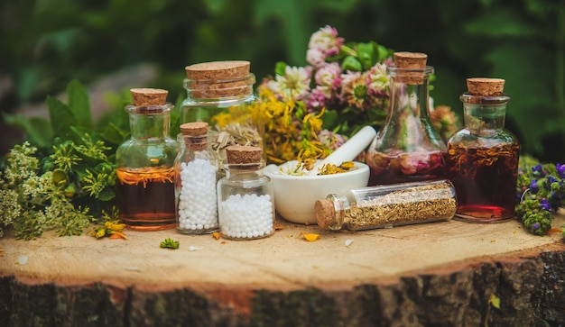 Teinture d'herbes médicinales en bouteilles. Nature.