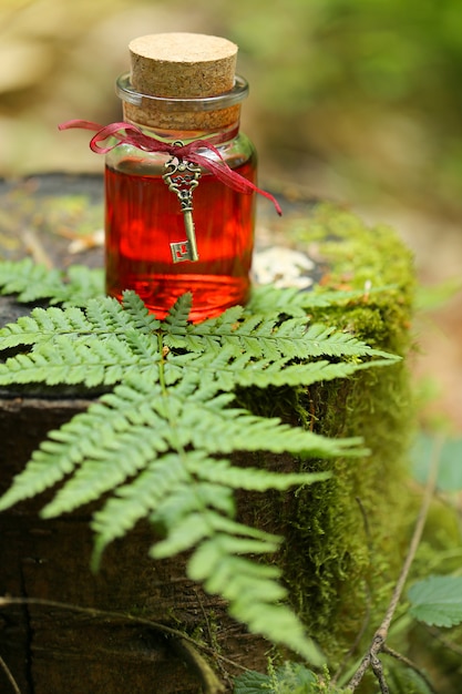 teinture rouge dans une bouteille en verre avec une clé vintage dans le trèfle d'herbe.