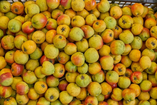 Tejocote placé sur une étagère à vendre sur un marché