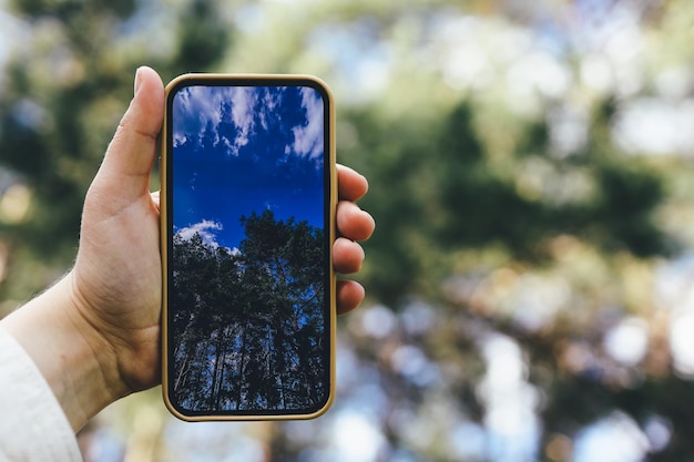 Téléphone en main avec une photo de la forêt