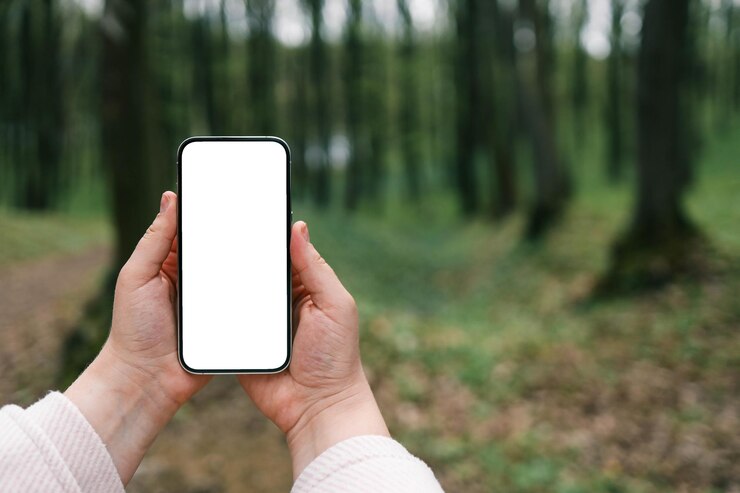 Un téléphone à la main avec une photo de la forêt.