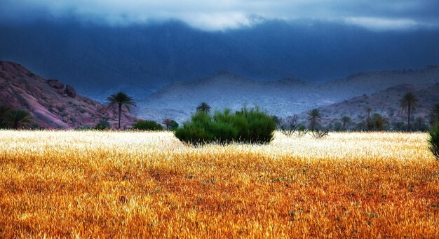 Tempête au Maroc