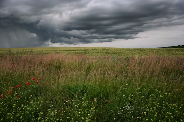 Une tempête de cyclone sur les champs et les prairies approche la vallée vallonnée