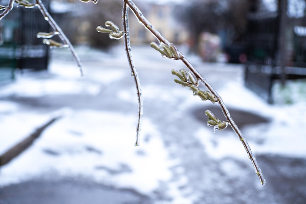 Tempête de neige hivernale à Lviv Ukraine Les glaçons se forment à partir de la pluie verglaçante Scène d'hiver Catastrophe naturelle