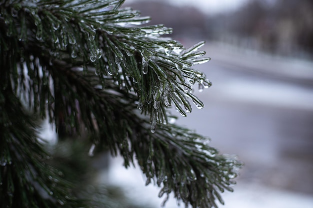 Tempête de neige hivernale à Lviv Ukraine Les glaçons se forment à partir de la pluie verglaçante Scène d'hiver Catastrophe naturelle