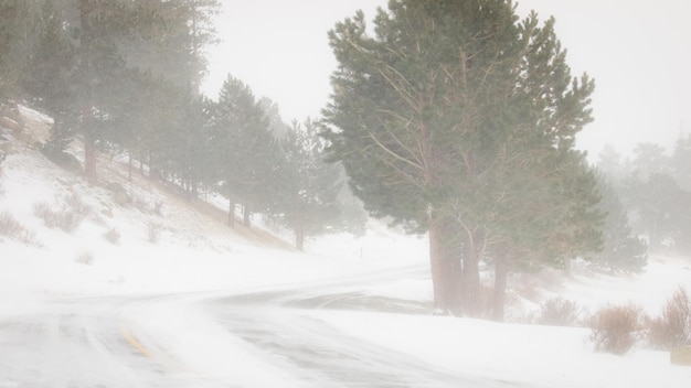 Tempête de neige.