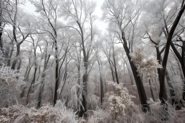 Tempête de verglas sur de grands arbres avec de la neige et de la glace sur leurs feuilles créées avec une IA générative