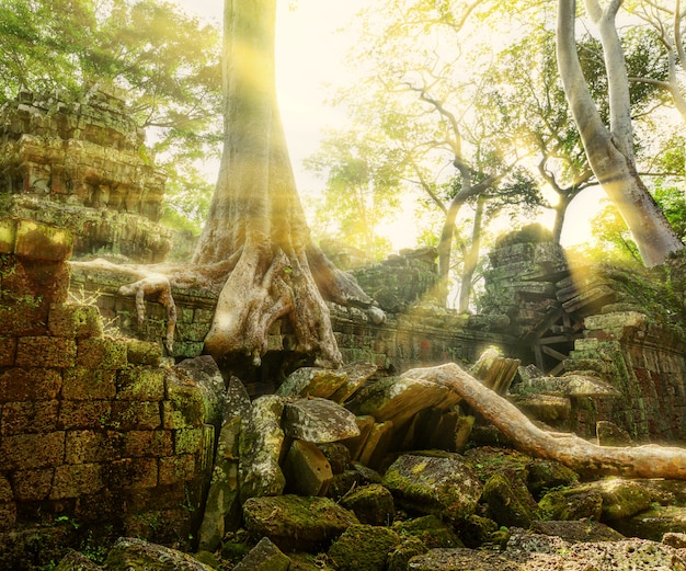 Temple à Angkor Thom, Cambodge