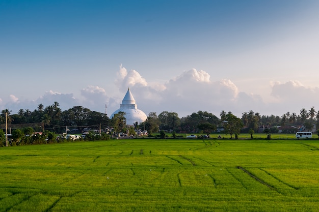 Temple bouddhiste dans le village de Tissamaharama, Sri Lanka