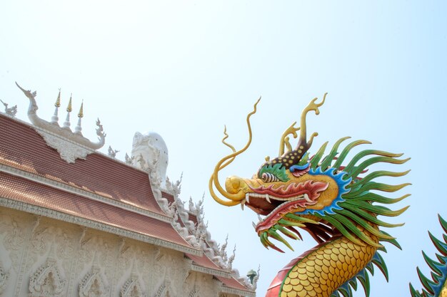 Temple chinois aux dragons wat Hyua Pla Kang à Chiang Rai