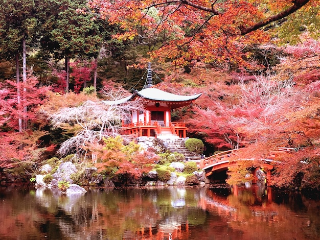 Temple Daigo-ji avec des érables colorés en automne, Kyoto, Japon