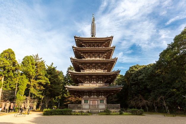 Temple Daigoji Kyoto